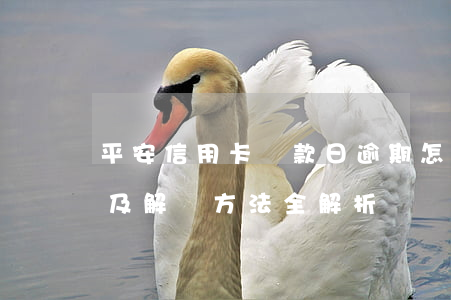 平安信用卡還款日逾期怎么辦？影響及解決方法全解析